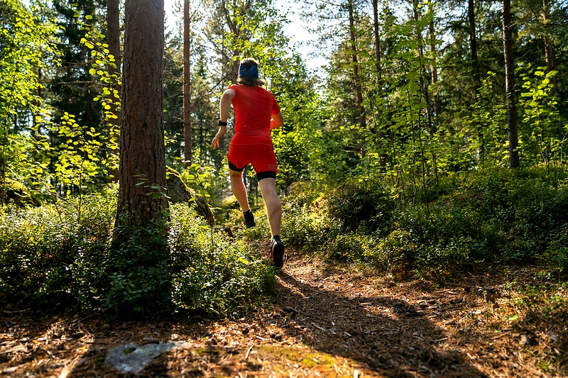 Image for XI Gorce Ultra-Trail